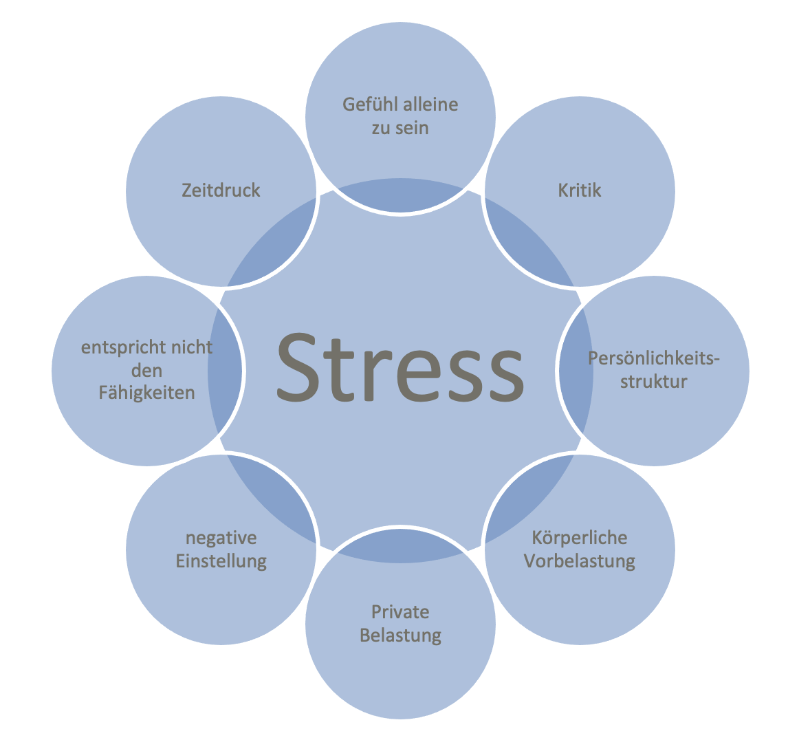 Einflussfaktoren auf Stress